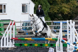 Class 5 - Fences not above 2'6